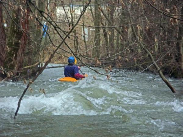 RIMG0452_bearbeitet-1