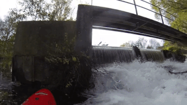 giphy-downsized-large